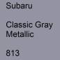 Preview: Subaru, Classic Gray Metallic, 813.